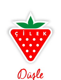 Çilek Mobilya